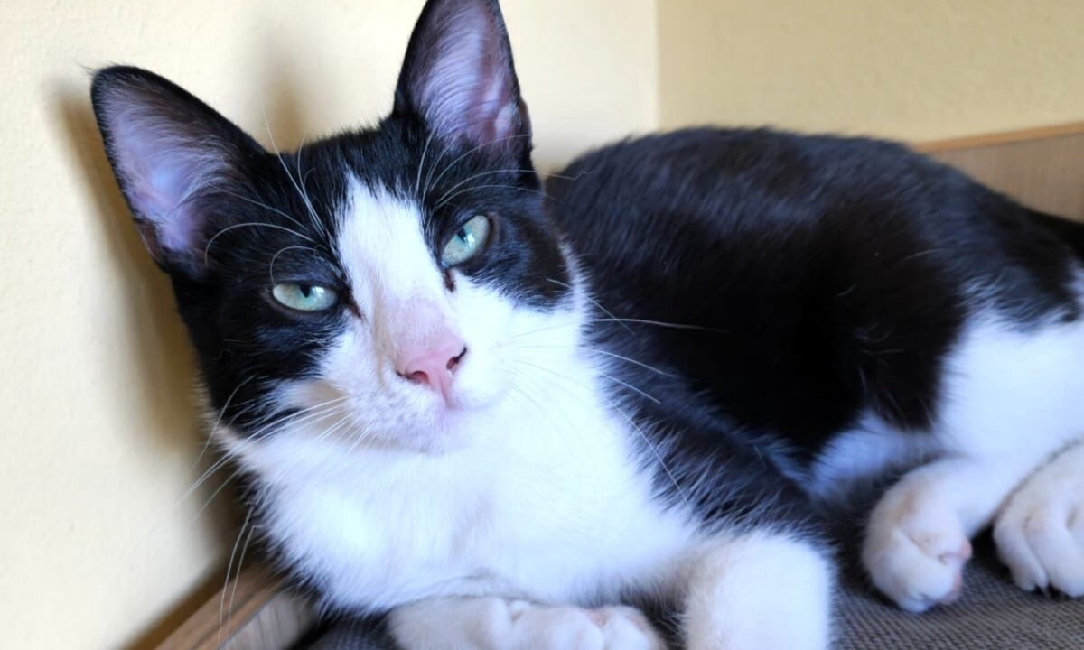 Photo of Others in Tourcoing