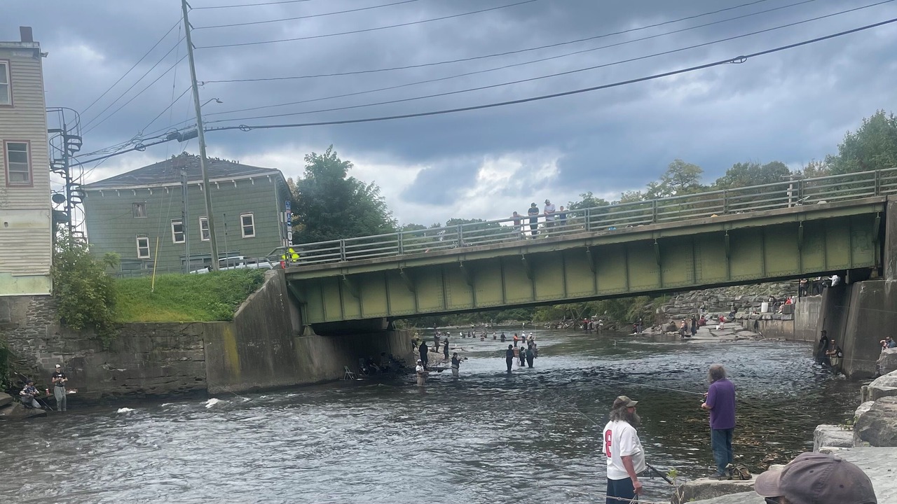 Photo of Others in Pulaski