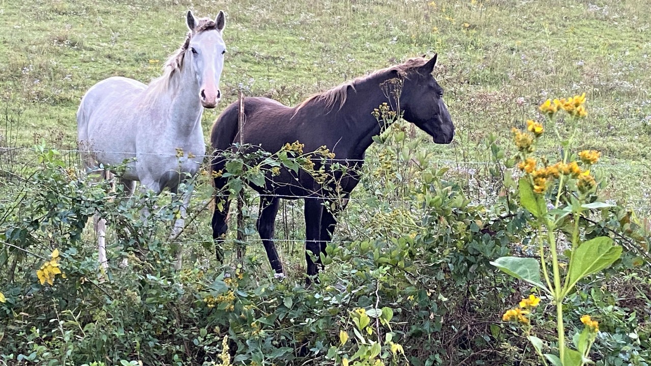 Photo of Outdoor in Beattyville