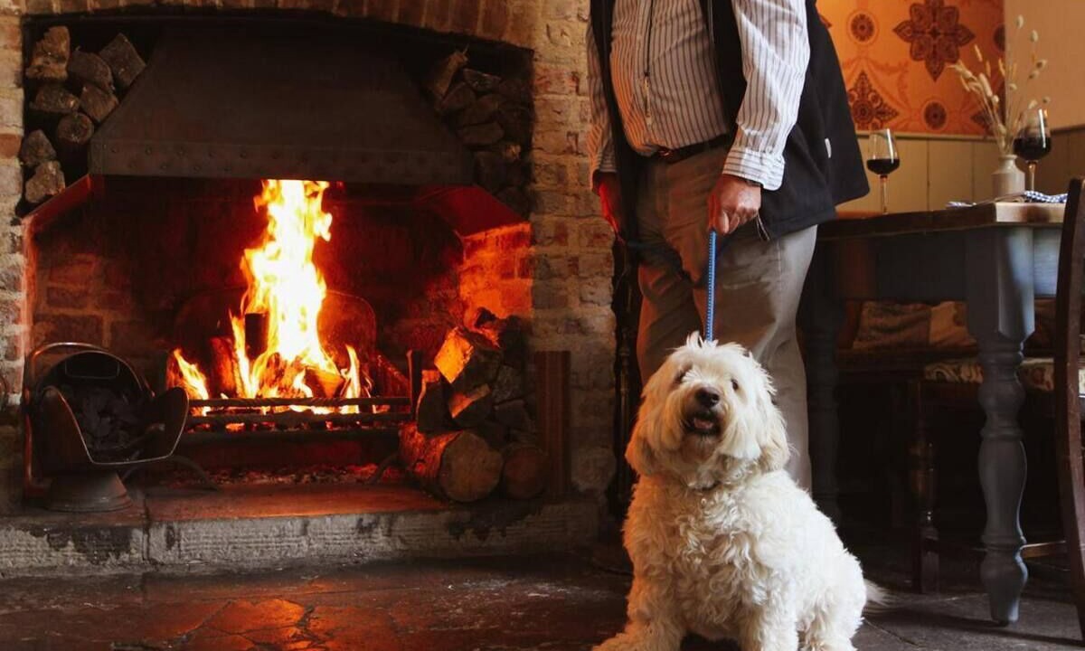 Photo of Others in Horton