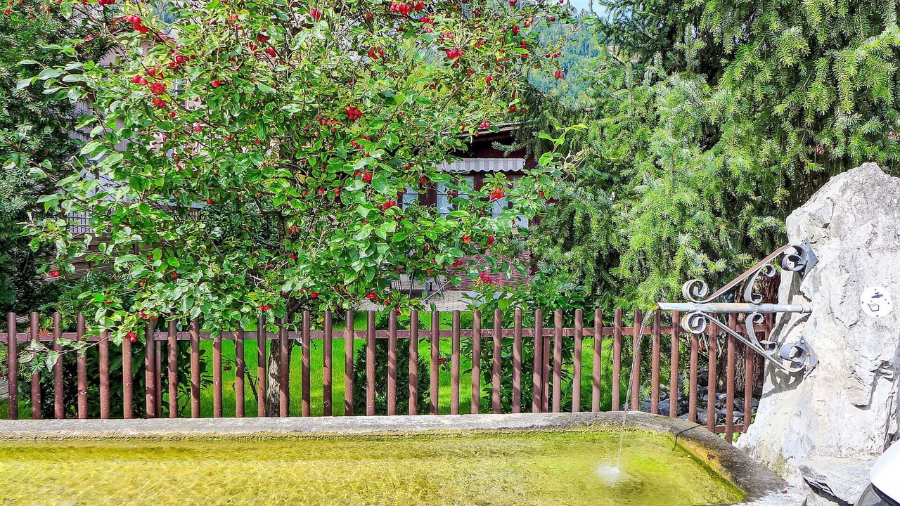Photo of Outdoor in Wimmis