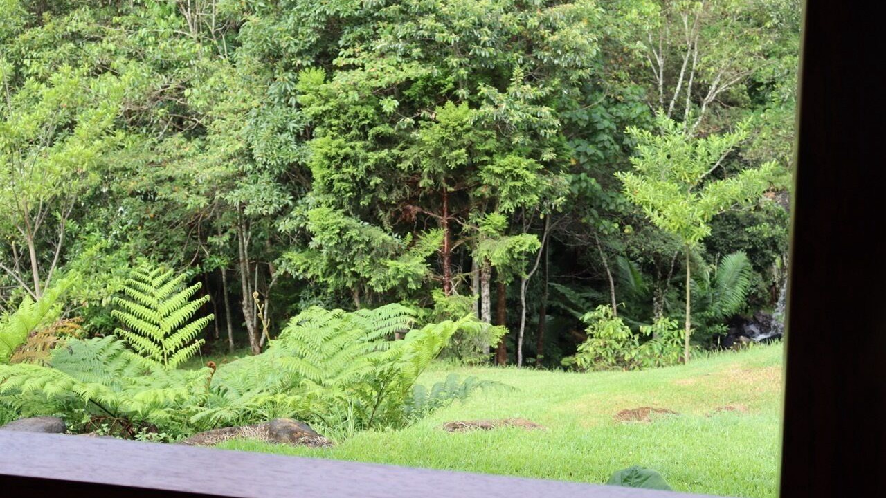 Photo of Others in Carool