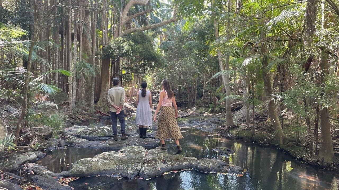 Photo of Others in Carool