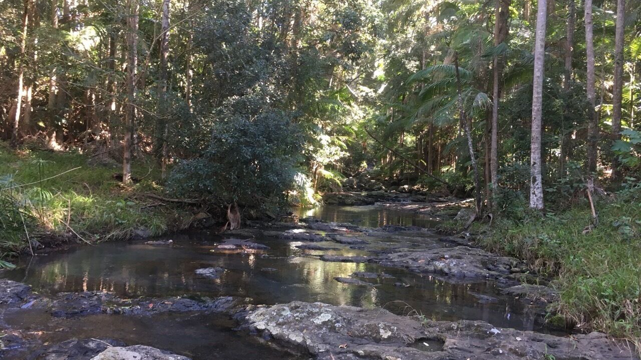 Photo of Others in Carool