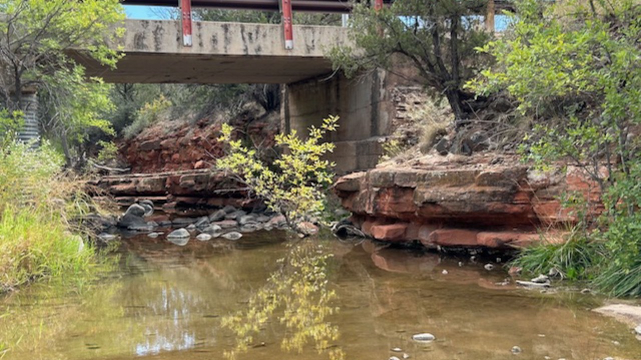 Photo of Others in Rimrock