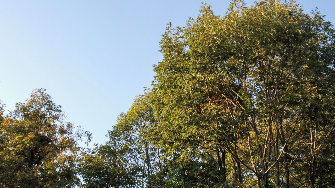 Photo of Others in Mamakating Park Historic District