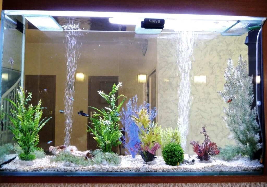 Photo of Others in Clemenceau