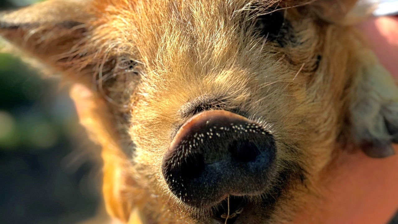 Photo of Outdoor in Jerup