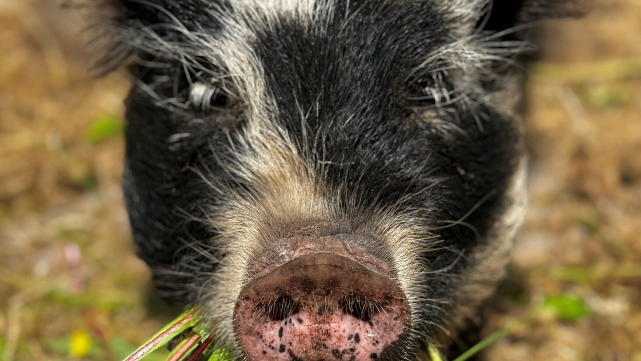 Photo of Outdoor in Jerup