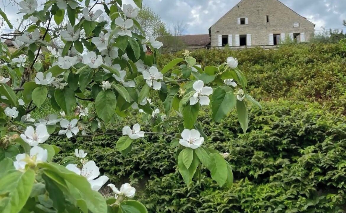 Photo of Outdoor in Bussy-le-Grand