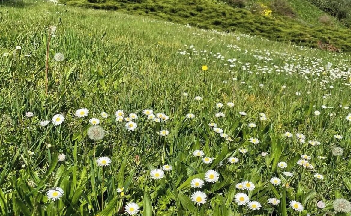 Photo of Outdoor in Bussy-le-Grand