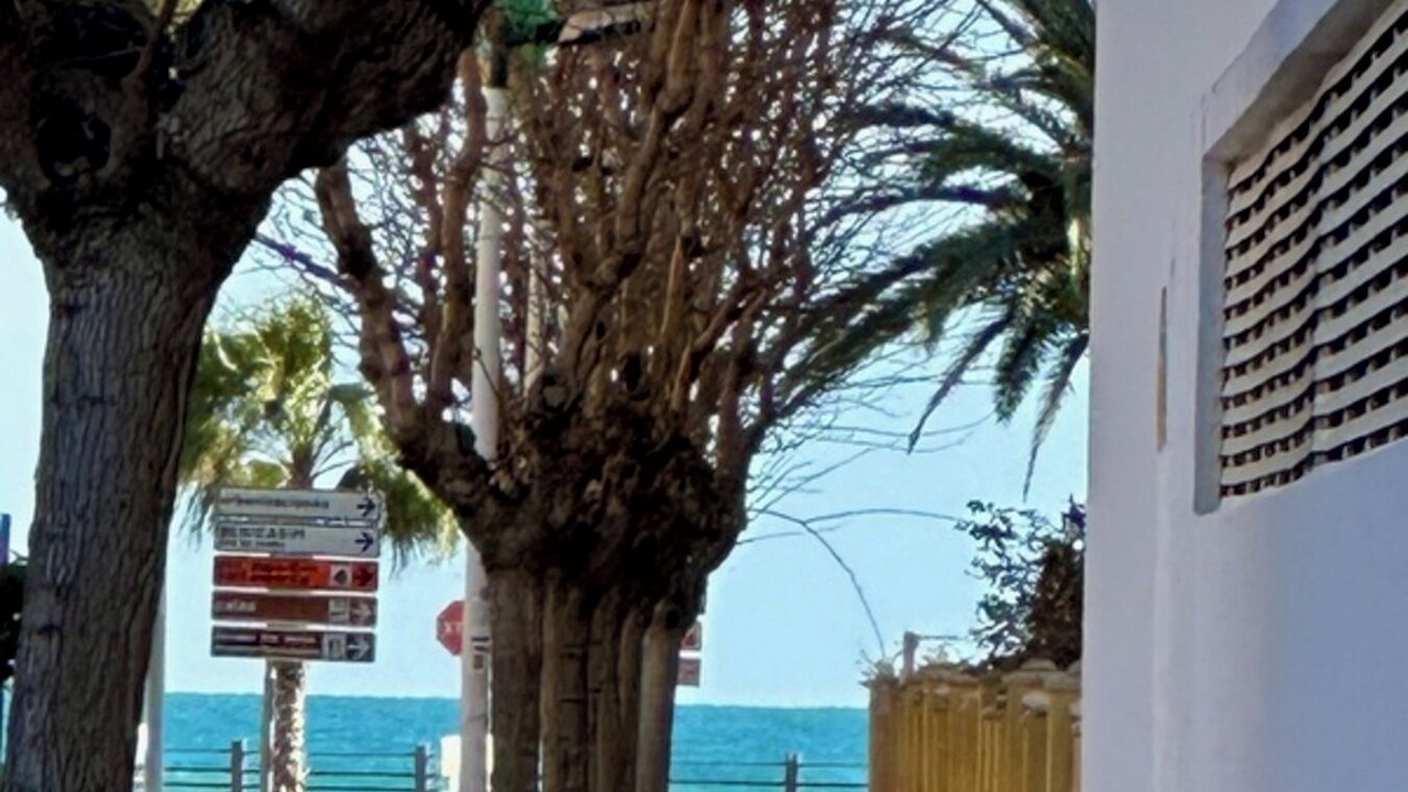 Photo of Others in Oropesa del Mar