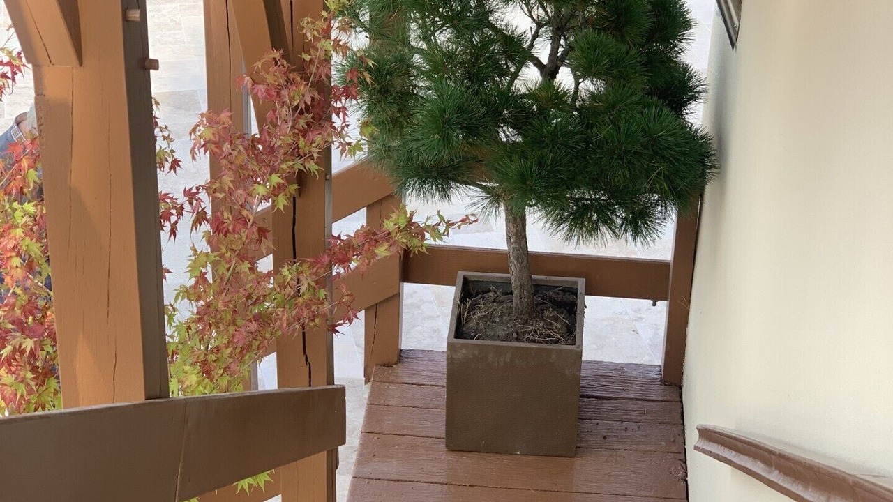 Photo of Outdoor in Chammes