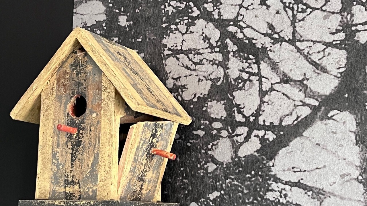 Photo of Others in Leval