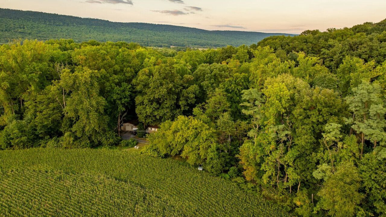 Photo of Outdoor in Jonestown