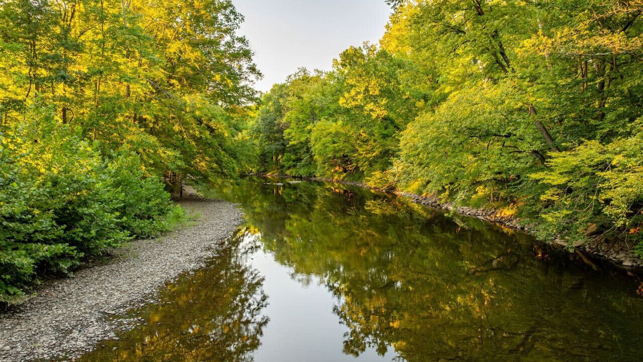 Photo of Others in Jonestown