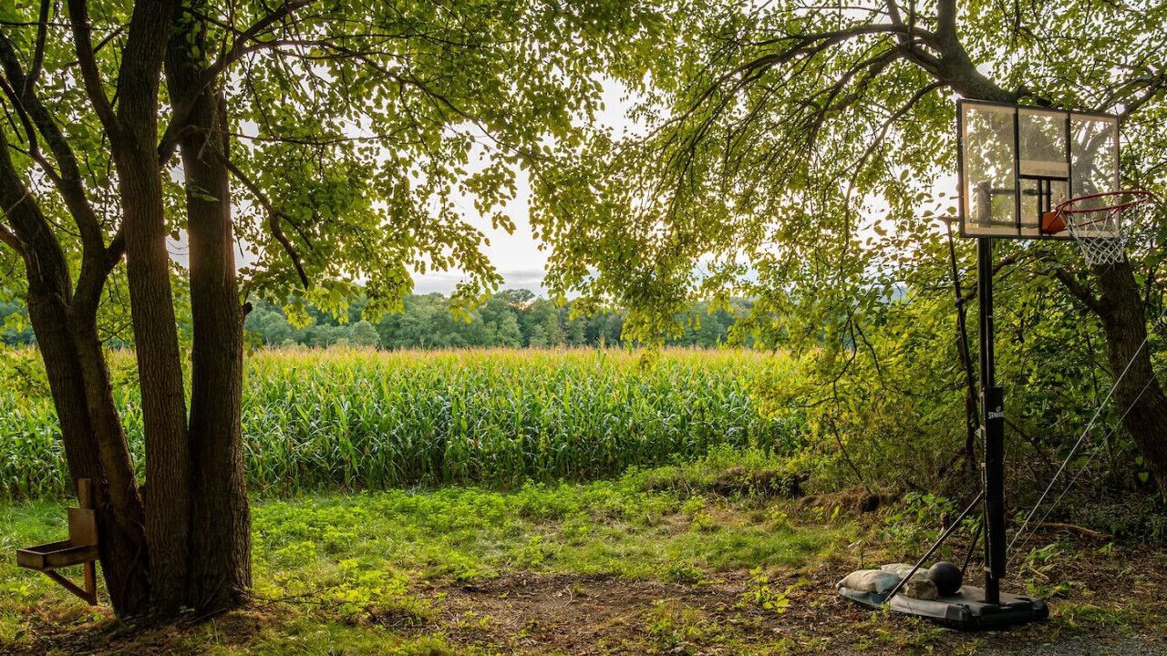 Photo of Others in Jonestown