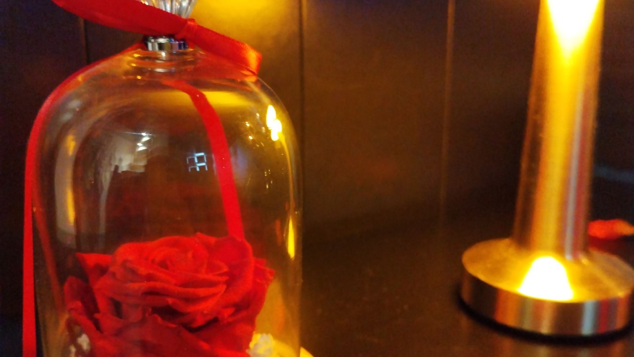 Photo of Others in Avelin