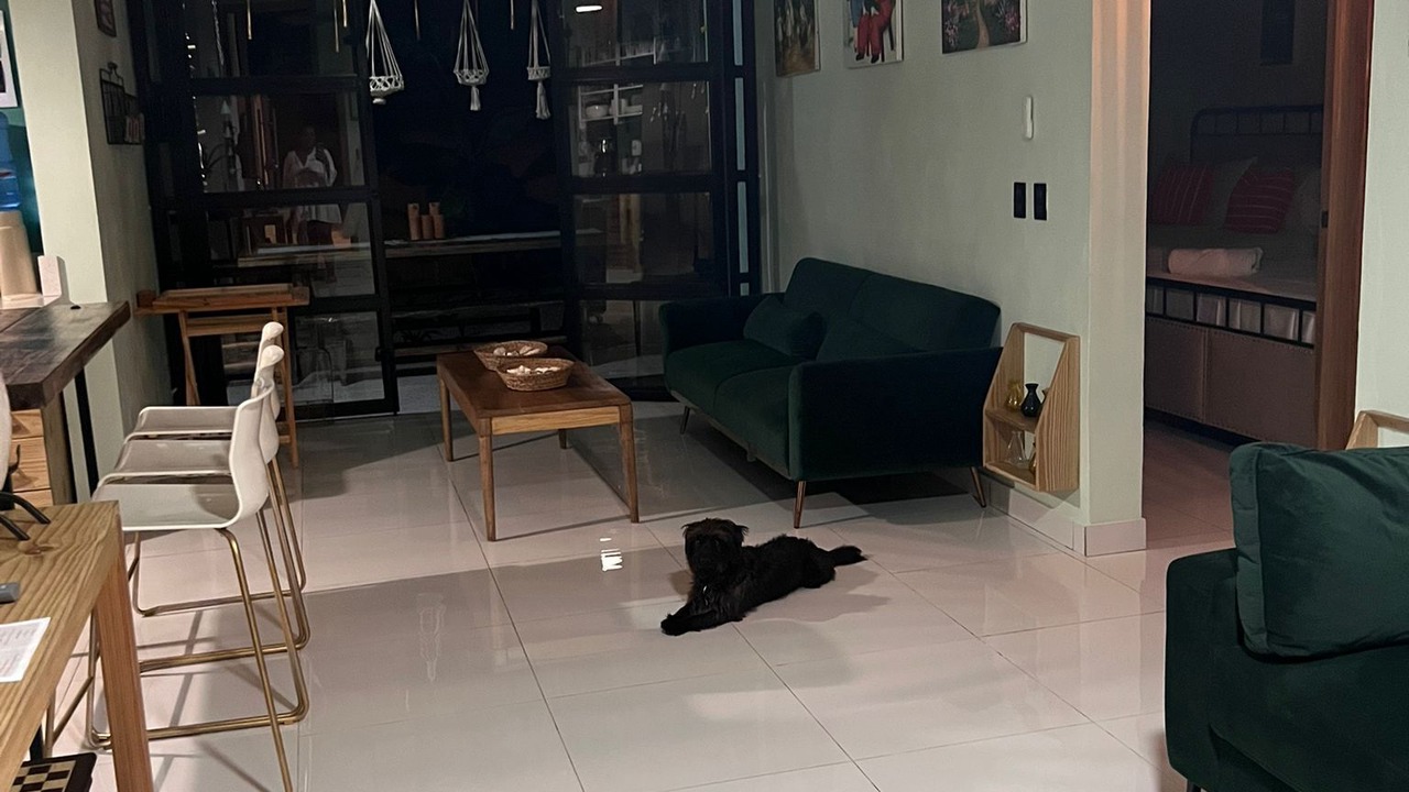 Photo of Others in Las Galeras