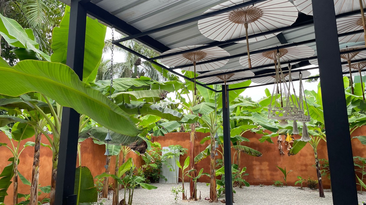 Photo of Others in Las Galeras