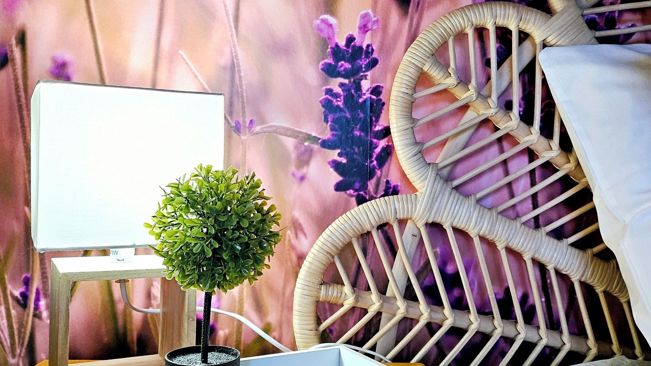 Photo of Outdoor in Padirac