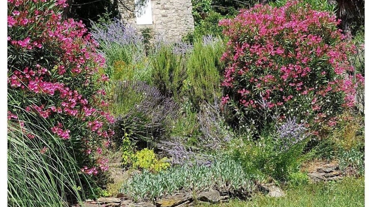 Photo of Outdoor in Aujac