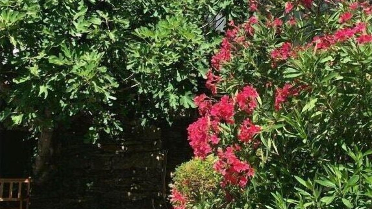 Photo of Outdoor in Aujac