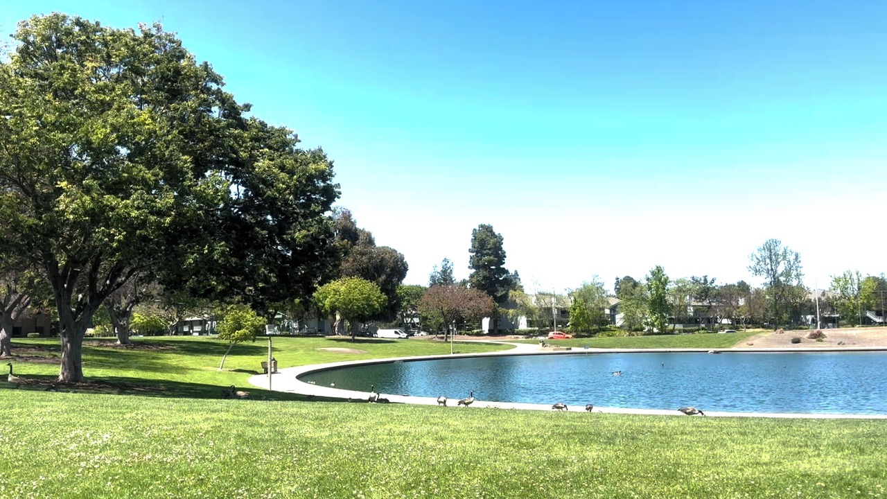 Photo of Others in Sunnyvale