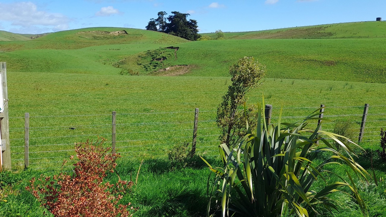 Photo of Others in Central Hawke's Bay District