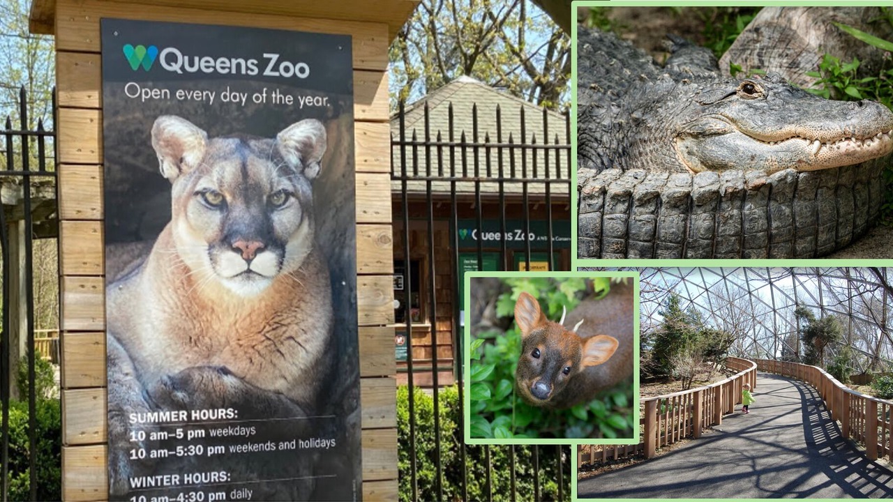 Photo of Others in East Flushing