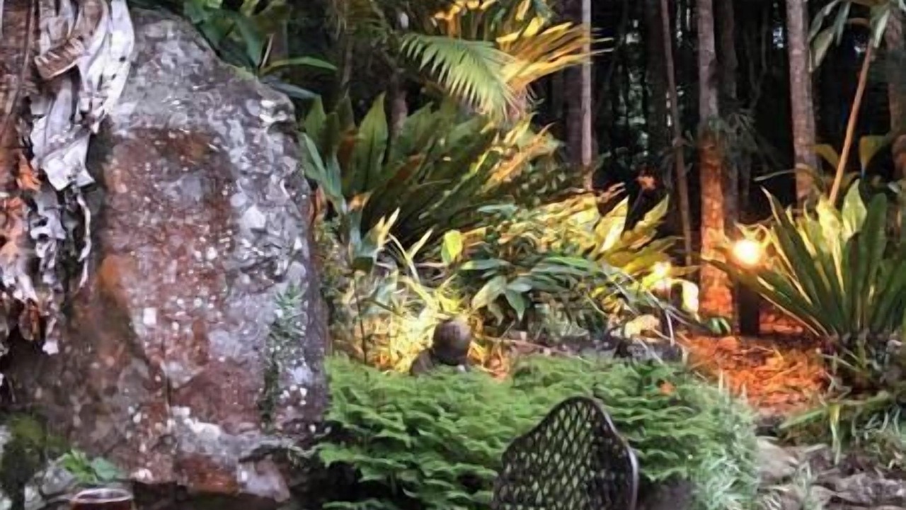 Photo of Outdoor in North Tamborine