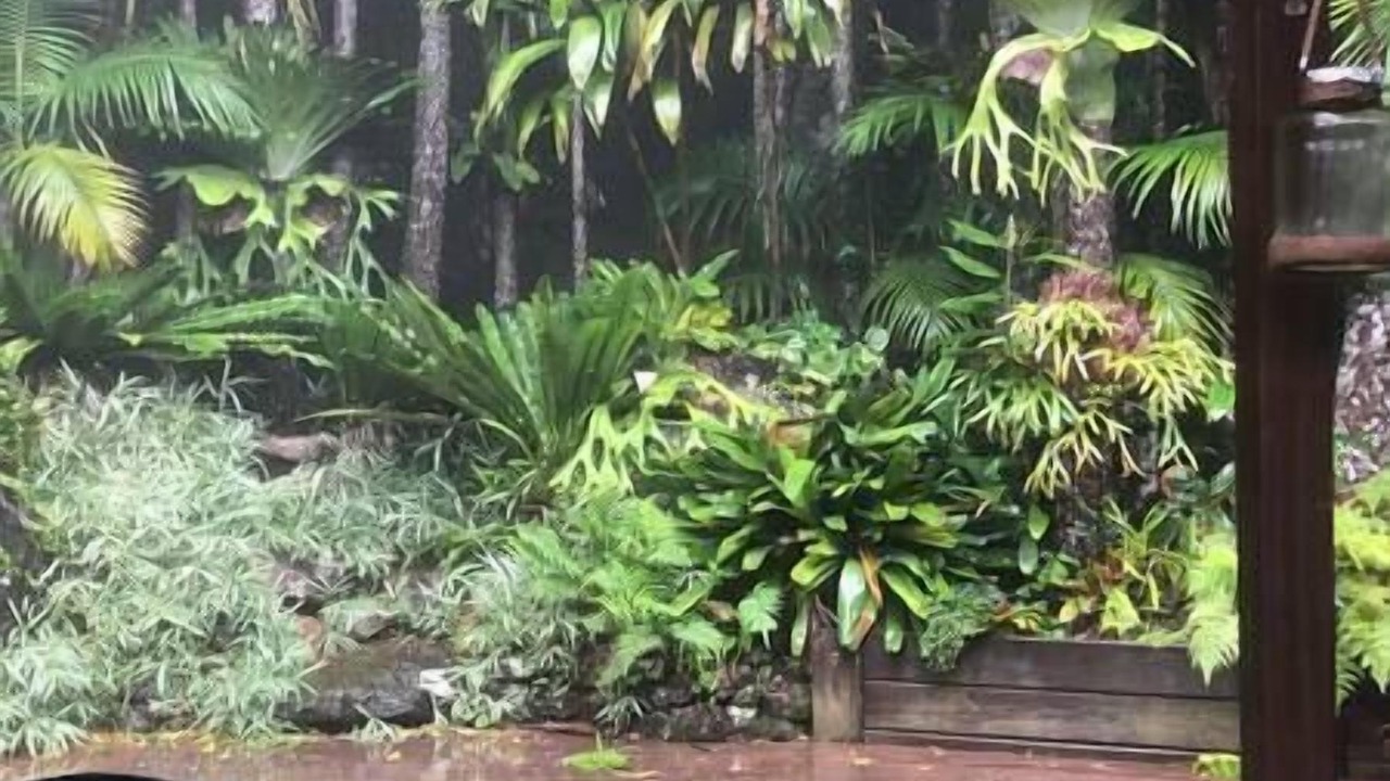 Photo of Others in North Tamborine