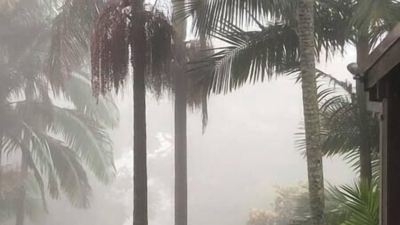 Photo of Others in North Tamborine