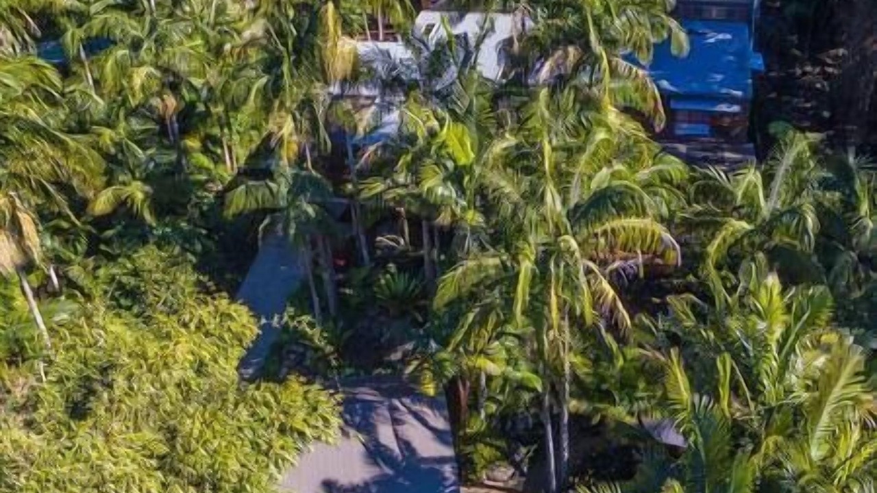 Photo of Outdoor in North Tamborine