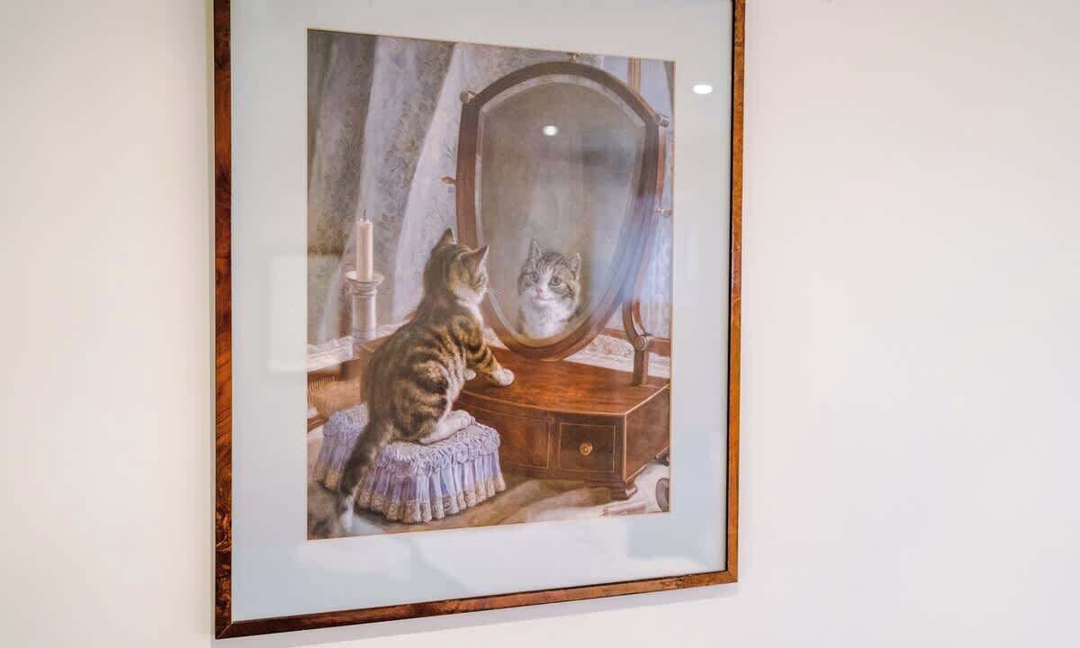 Photo of Others in Sandbach