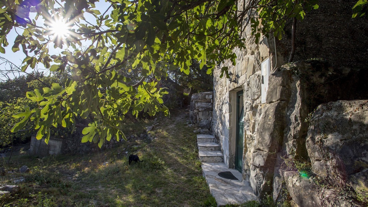Photo of Outdoor in Gata