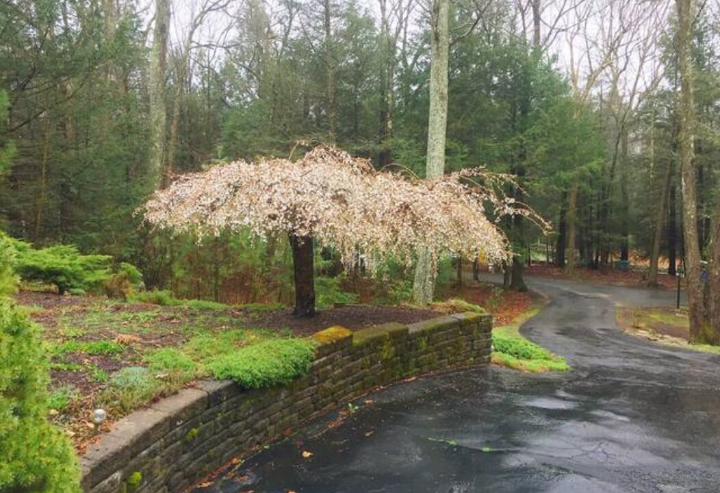 Photo of Bedroom in Harwinton