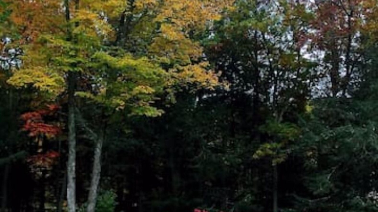 Photo of Outdoor in Harwinton