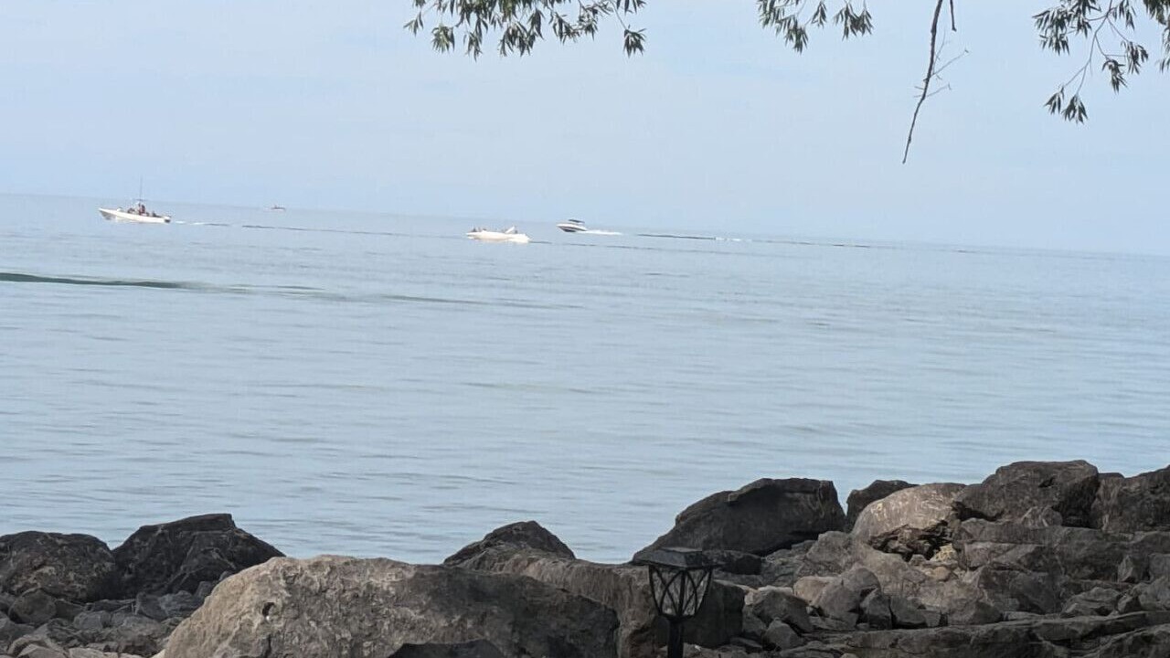 Photo of Others in Waterport
