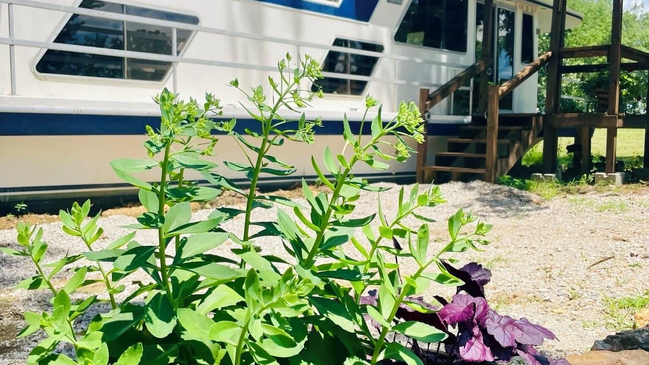 Photo of Outdoor in Wappapello