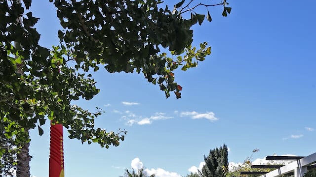 Photo of Outdoor in Westmere