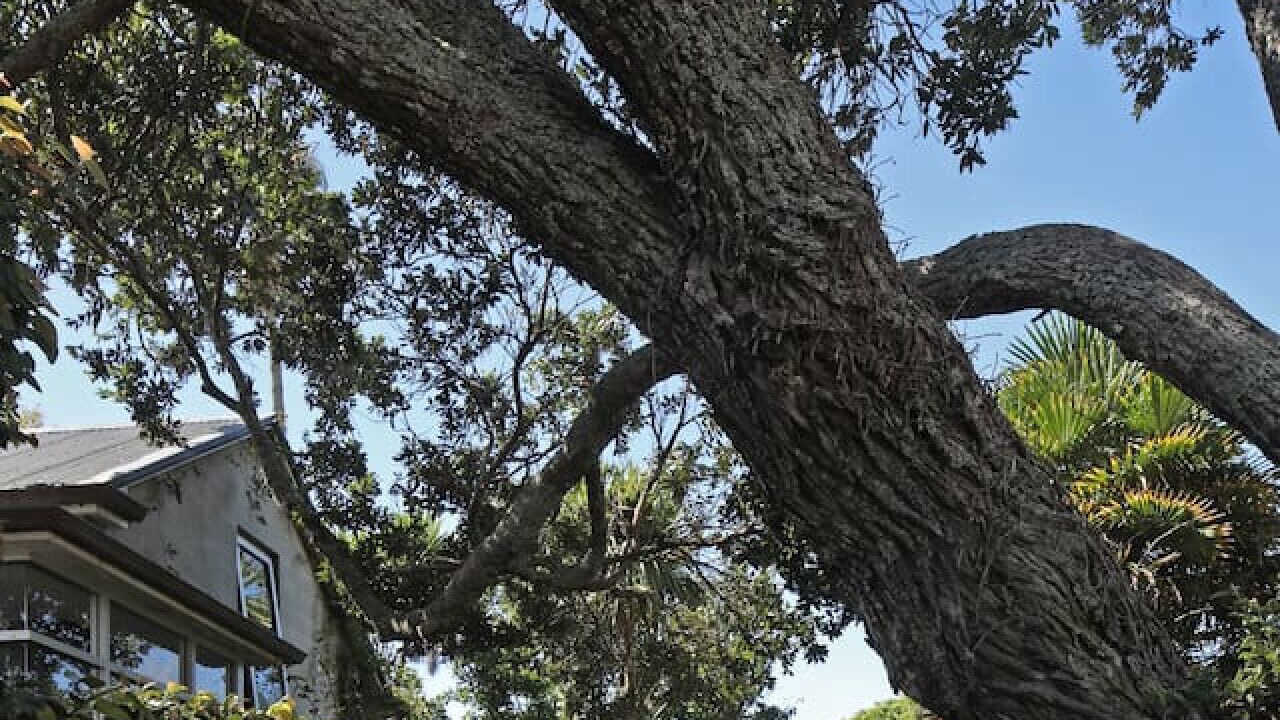 Photo of Outdoor in Westmere