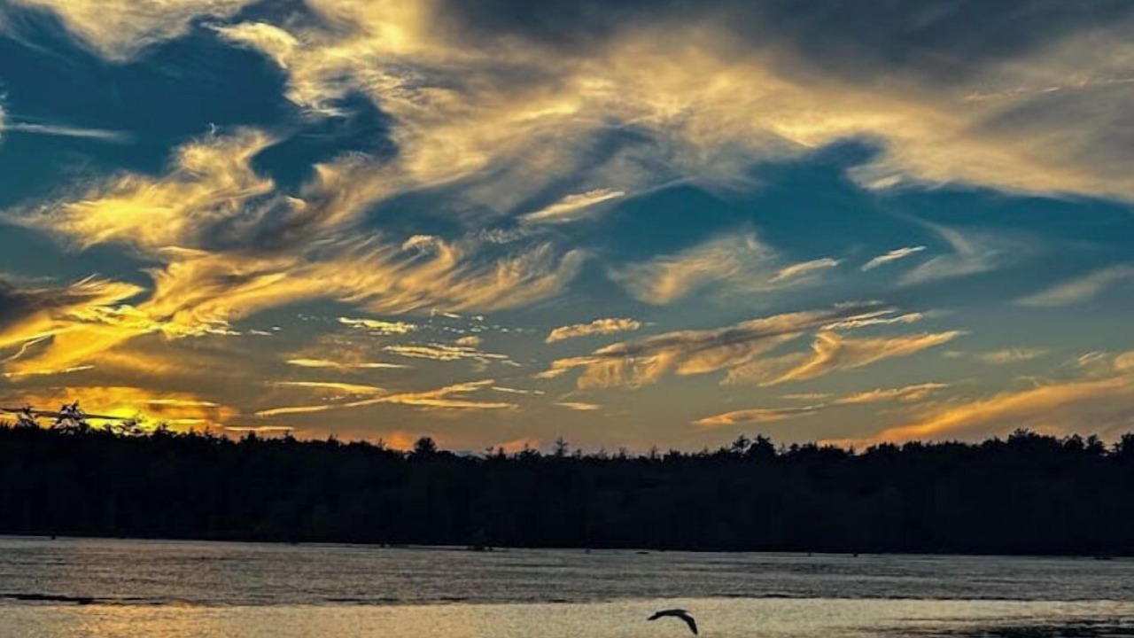 Photo of Others in Orange