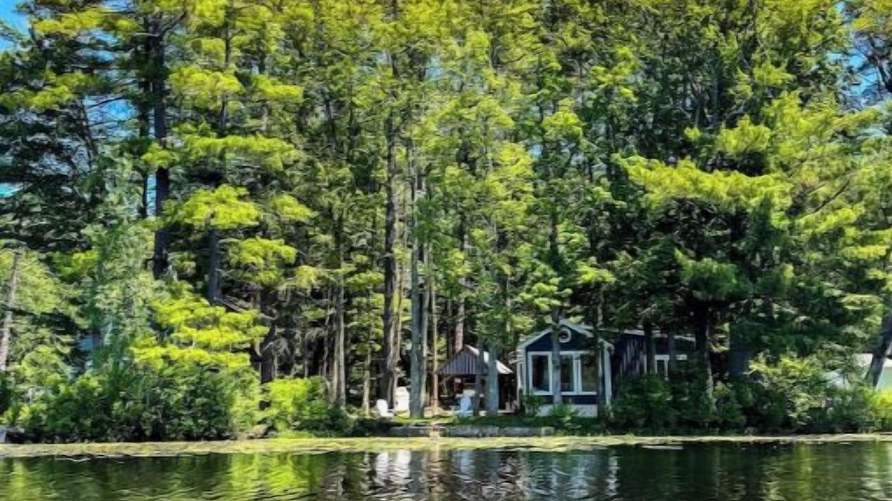 Photo of Outdoor in Orange