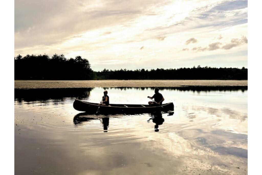 Photo of Others in Orange