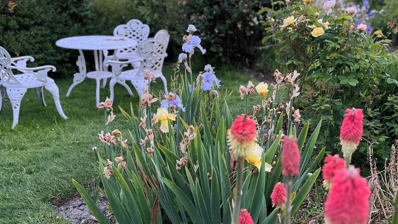 Photo of Outdoor in Aldington