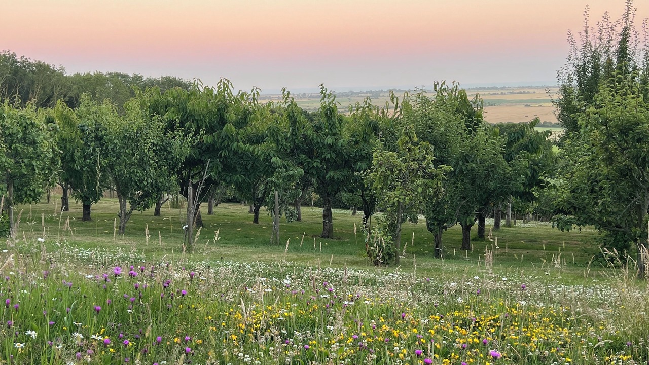 Photo of Outdoor in Aldington