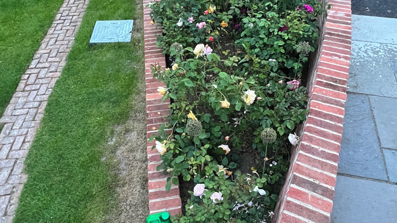 Photo of Outdoor in Aldington