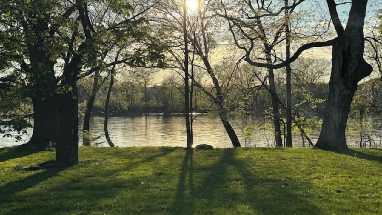 Photo of Others in Green Island