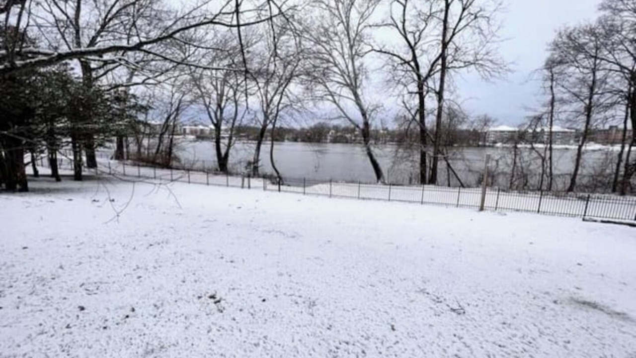 Photo of Others in Troy